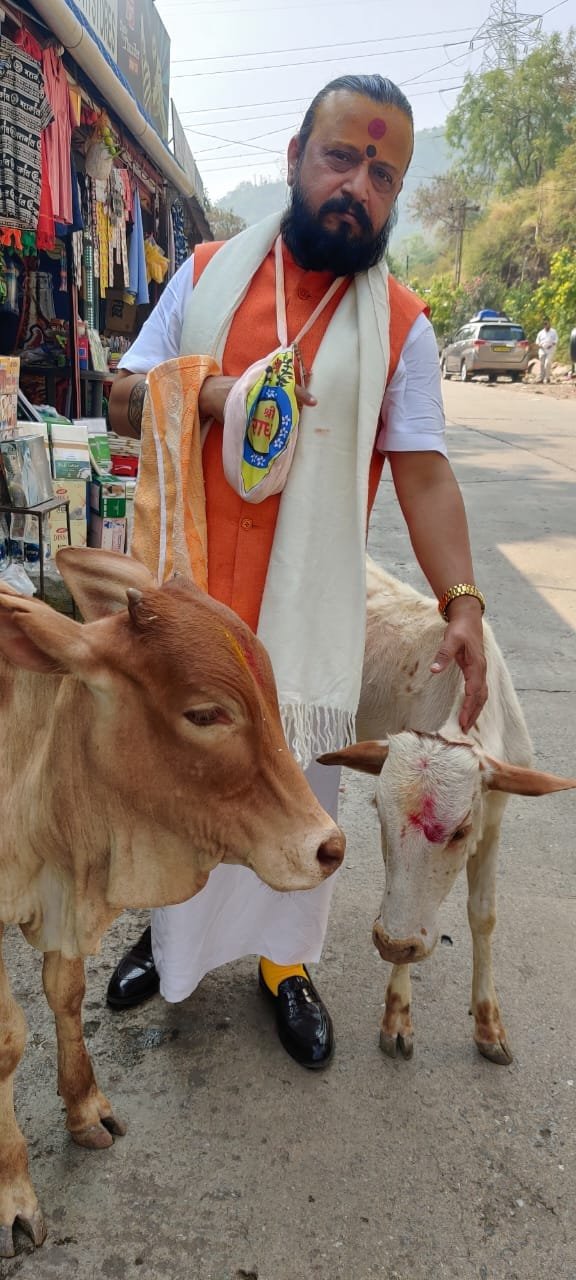 Seva of the sacred cows
